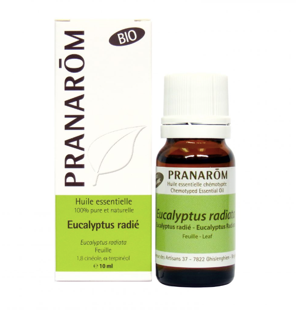 Eucalyptus radié - Pranarom - 10ml
